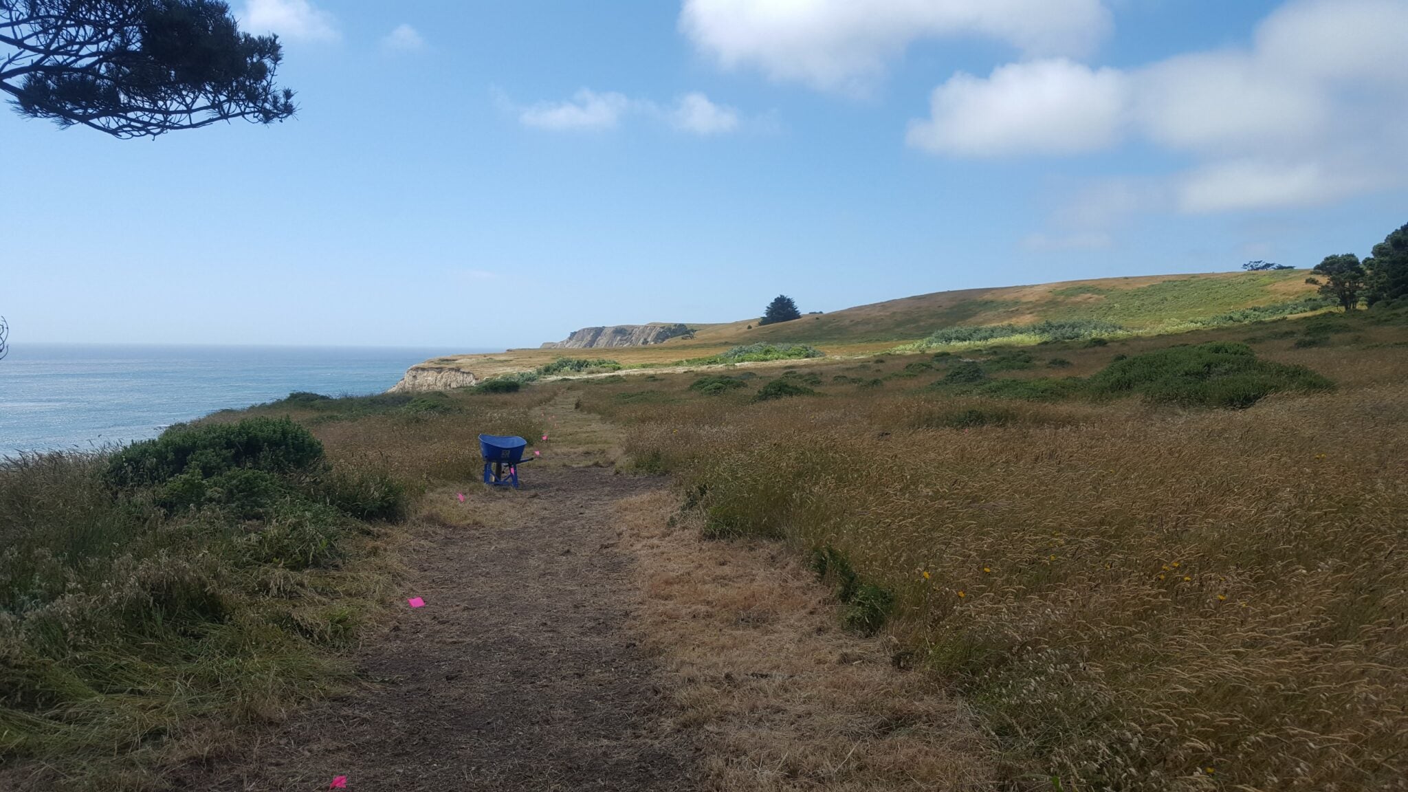 Trails Pelican Bluffs Mendocino Land Trust