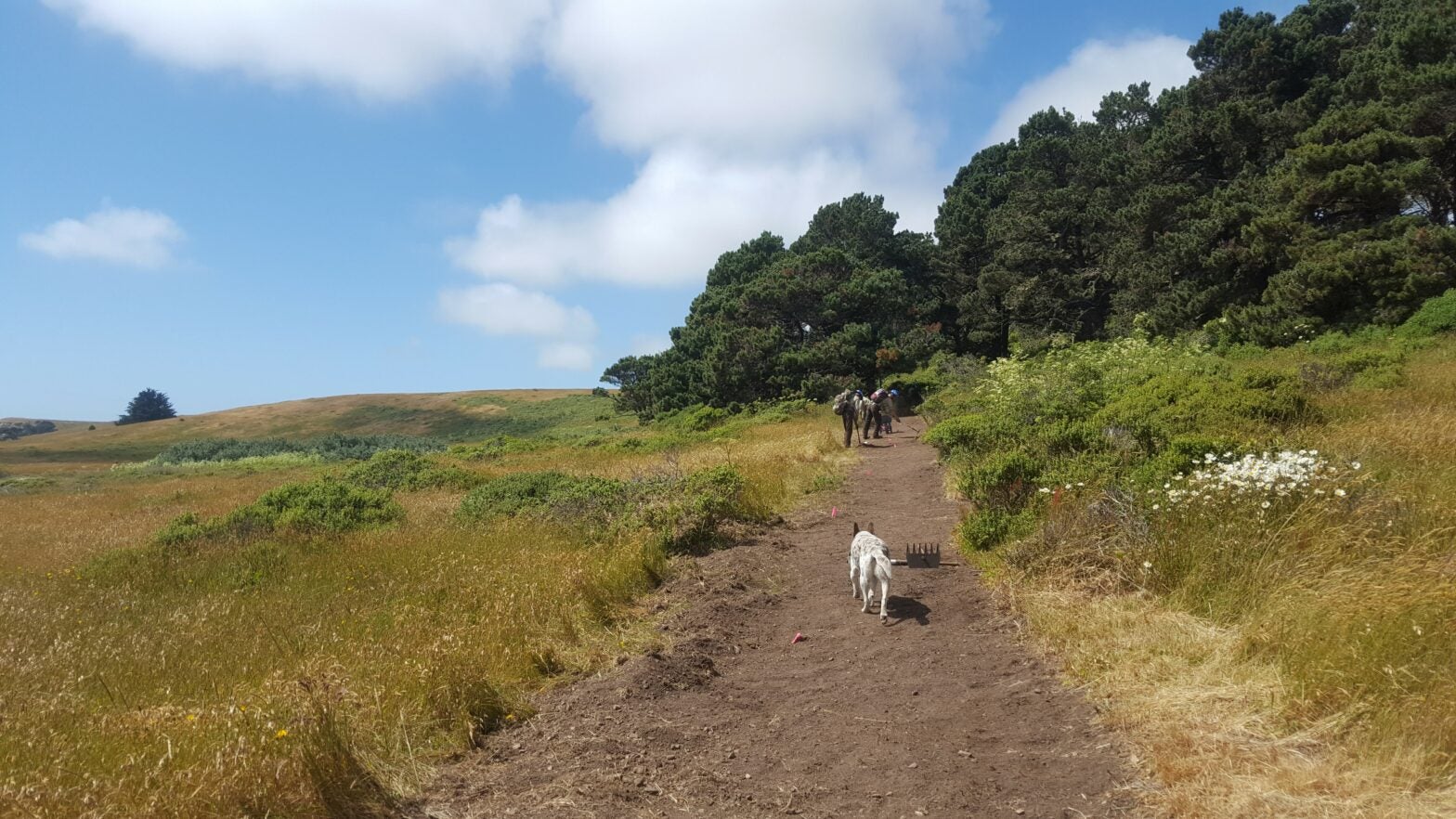 Trails Pelican Bluffs Mendocino Land Trust