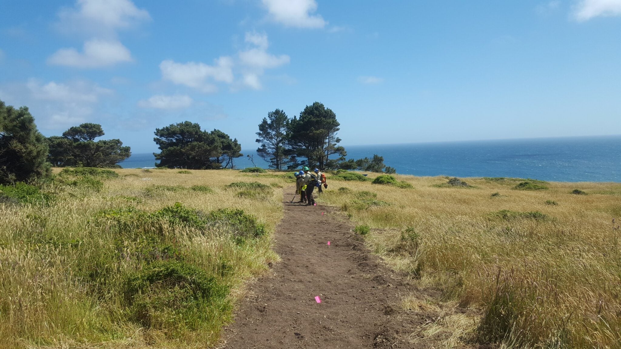 Trails Pelican Bluffs Mendocino Land Trust