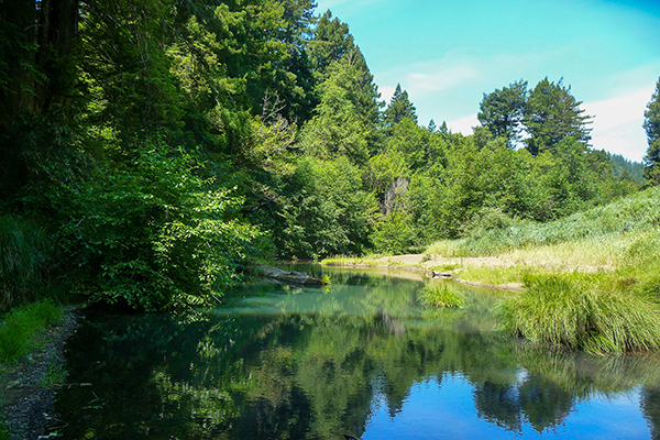 Big River Trail