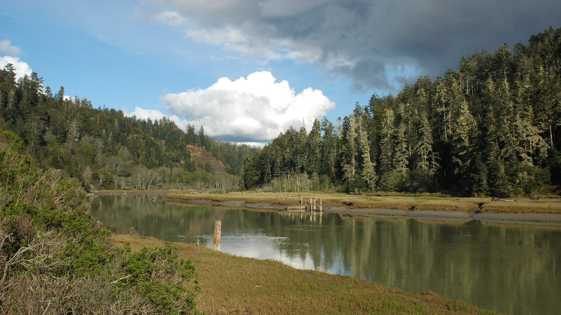 Landscape shot of big river with blue sky and clouds