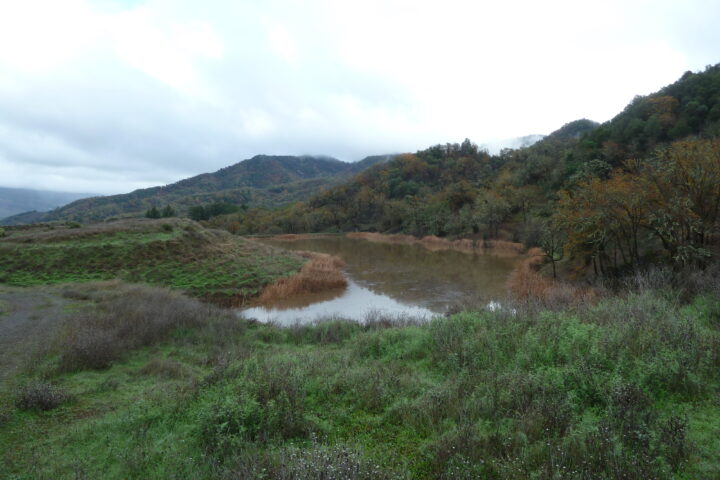 Conservation Easement: Gleason-Prescott