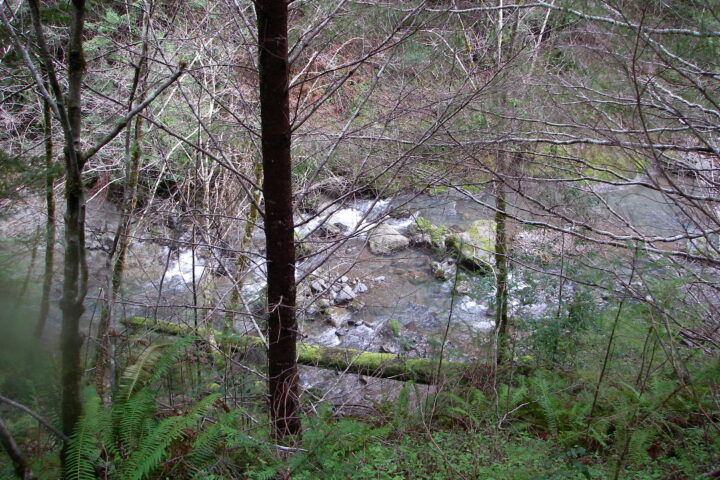 Conservation Easement: Brush Creek