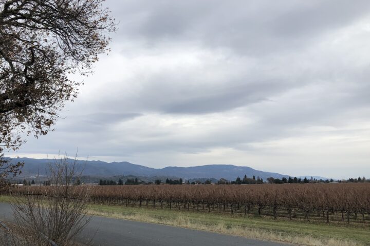 Conservation Easement: Lovers Lane Vineyard