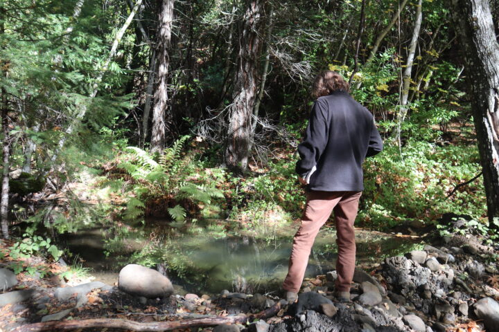 Conservation Easement: Returned Pomo Lands (Trout and Alder Creek)