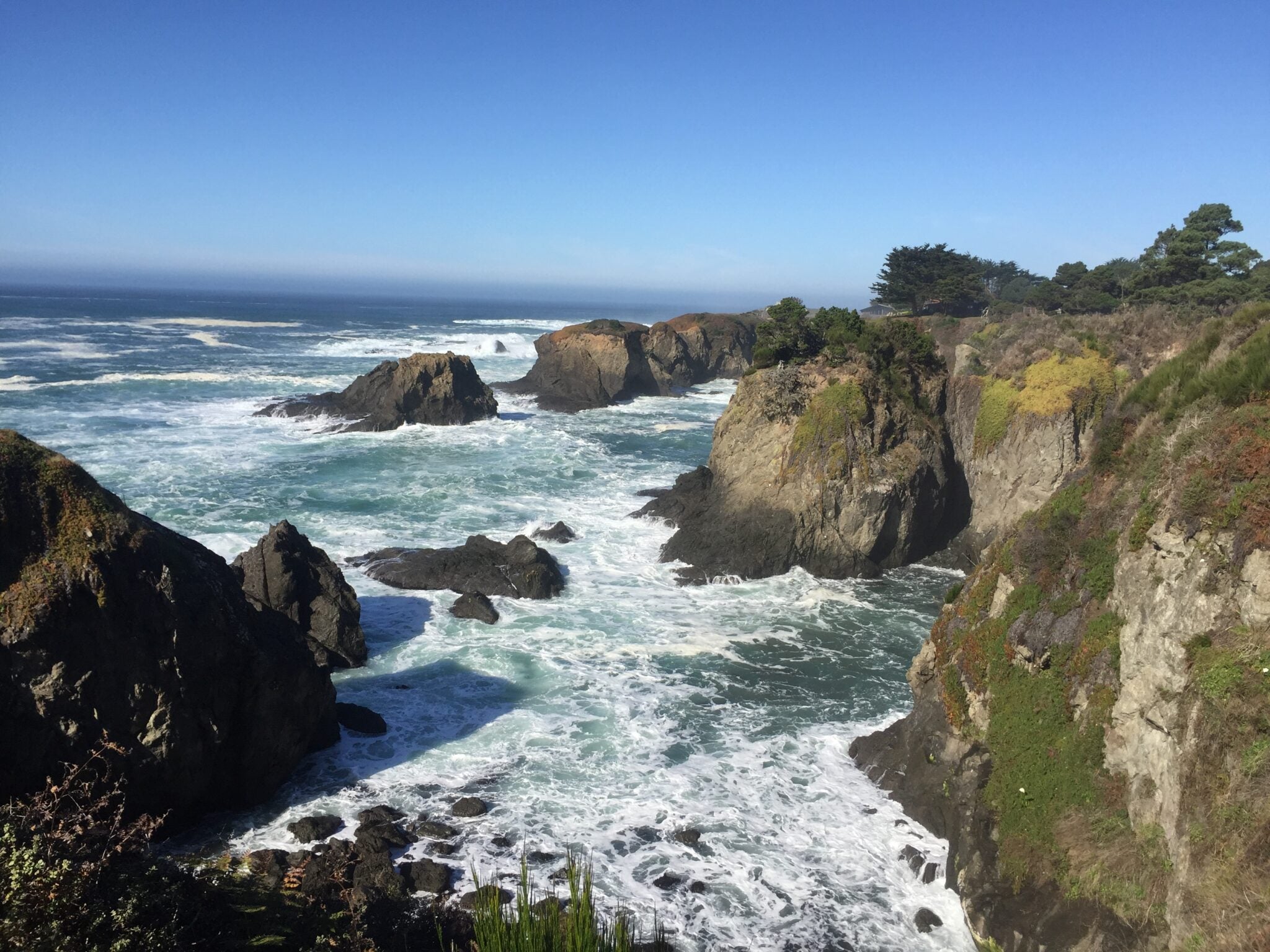 Caspar Uplands Trail Mendocino Land Trust