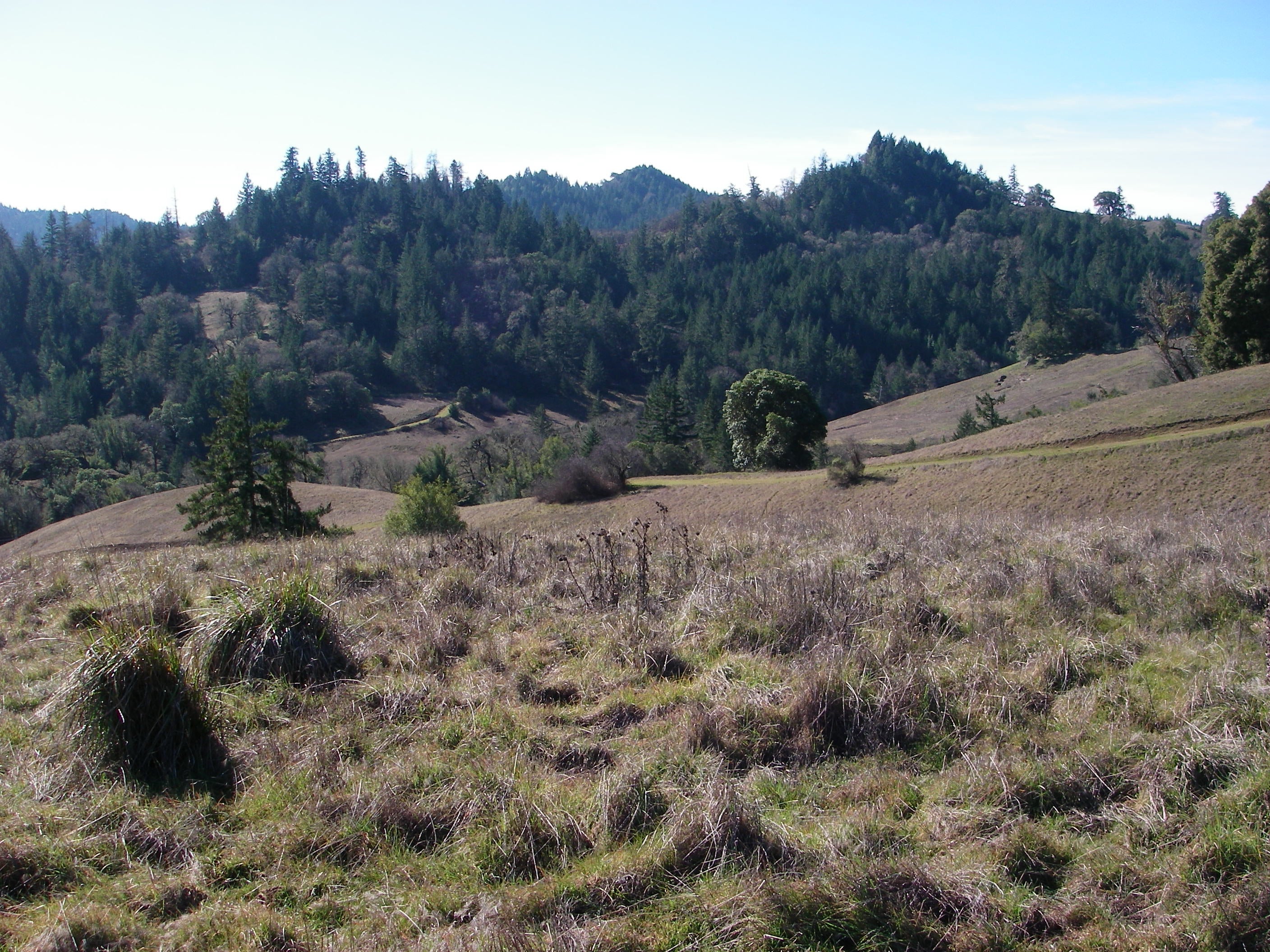Conservation Easement Yorkville Family Lands Mendocino Land Trust