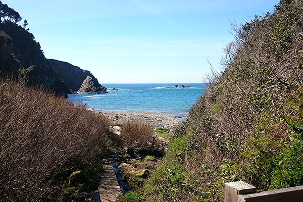 Dark Gulch Trail