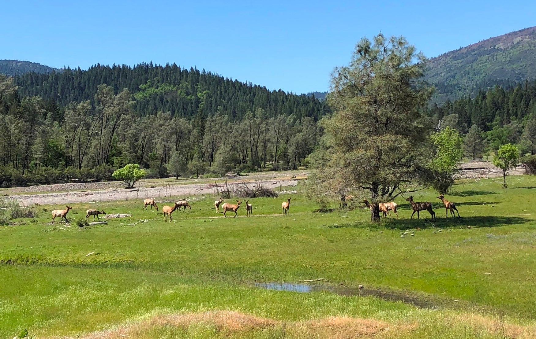 Conservation Easement Eel River / Lake Pilsbury Mendocino Land Trust