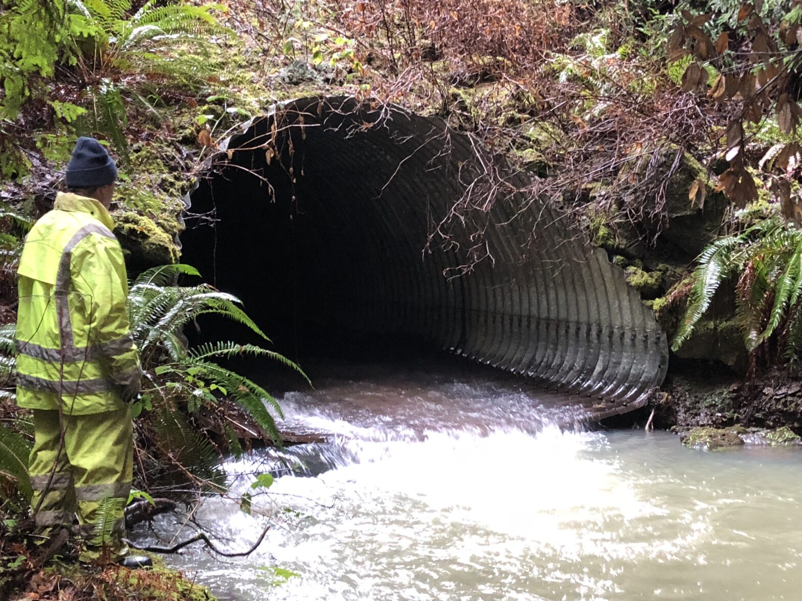 Chamberlain Creek culvert