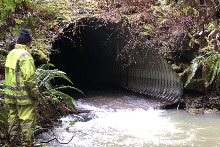 Chamberlain Creek culvert