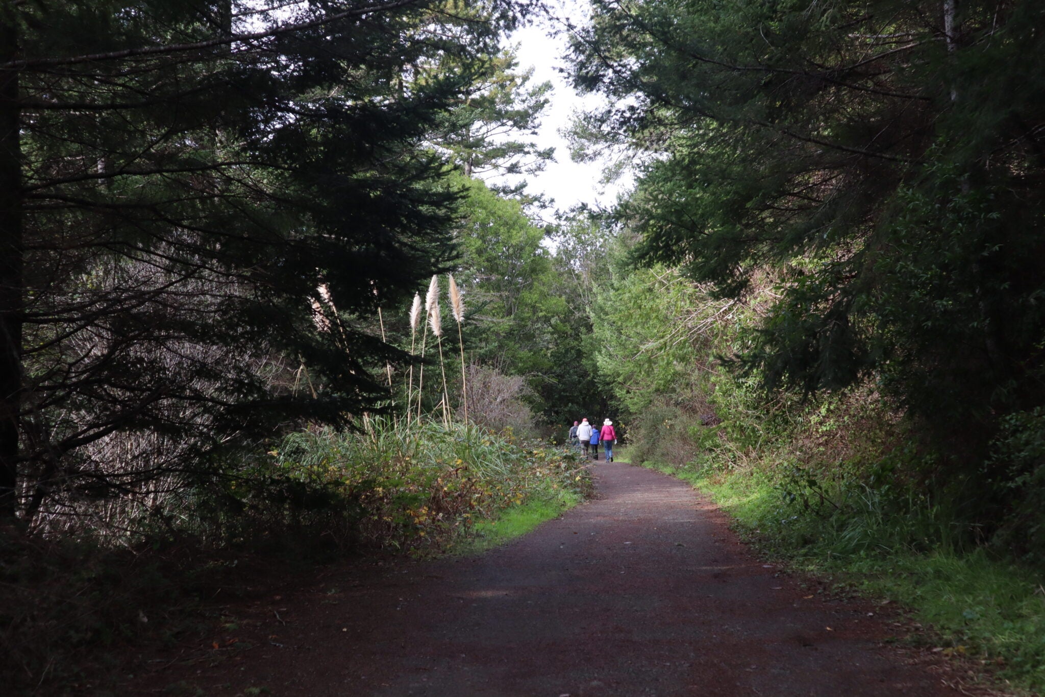 Big River Trail Mendocino Land Trust