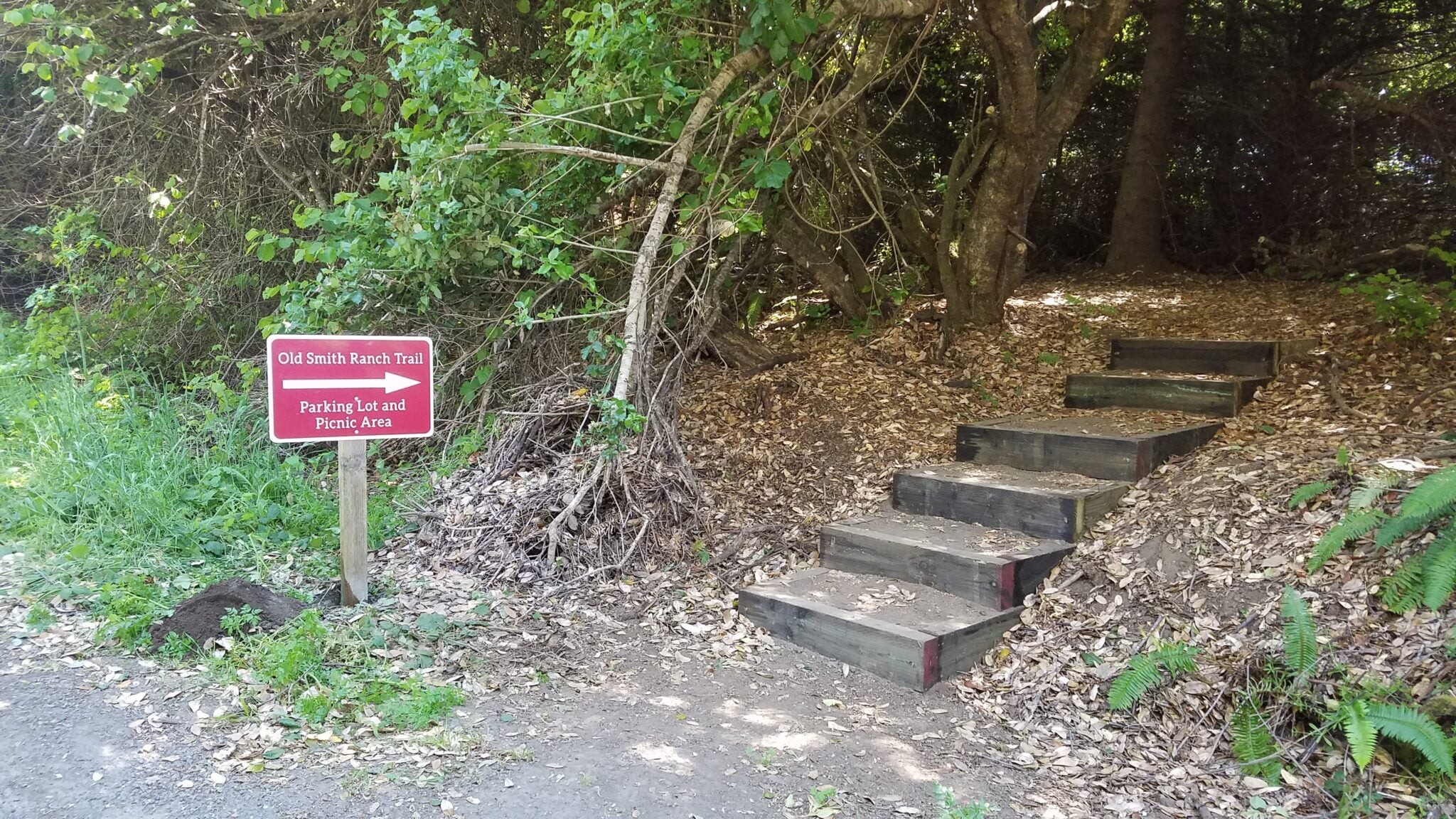 Trail Projects Mendocino Land Trust