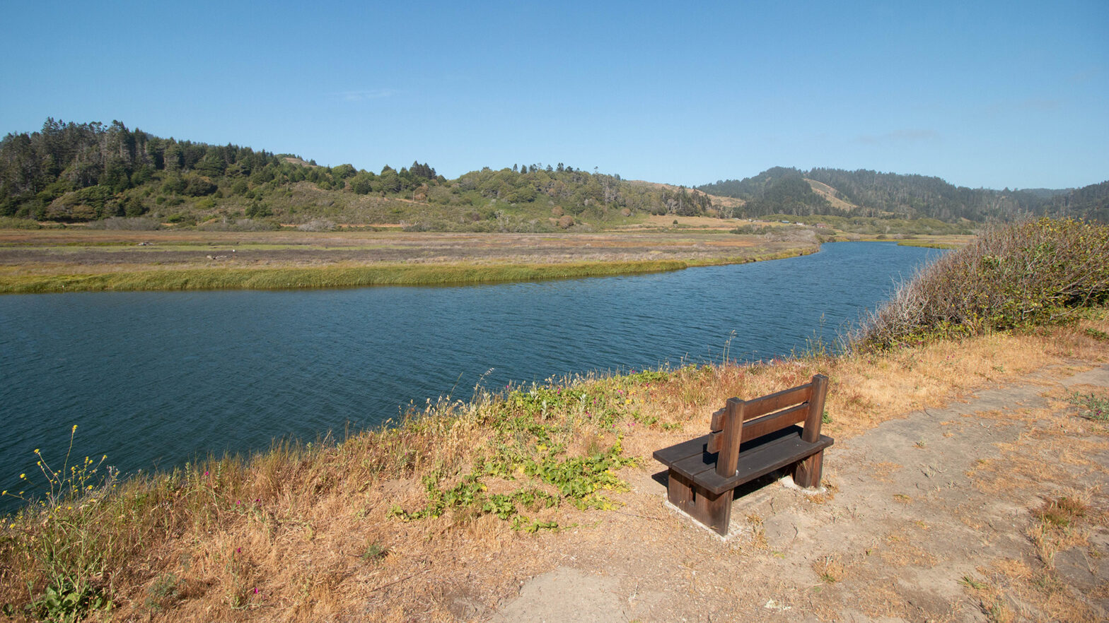 A bench along the ten mile river at old smith ranch