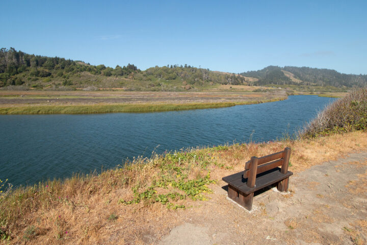 A bench along the ten mile river at old smith ranch