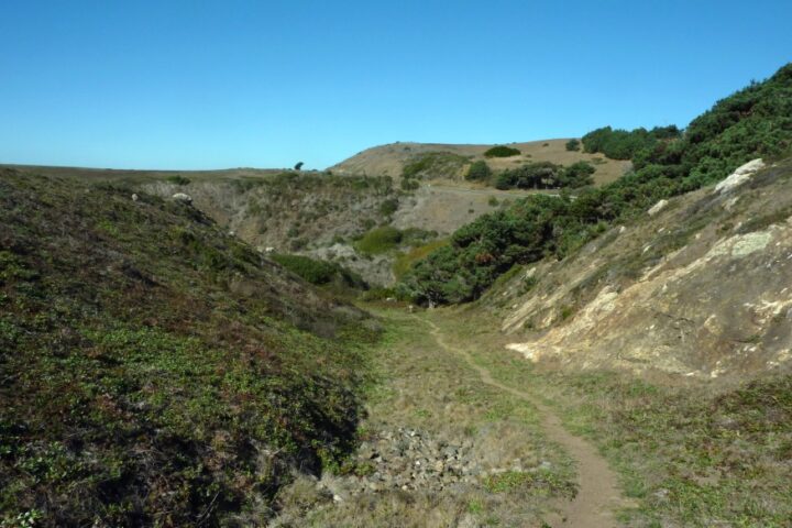 Hearn Gulch Trail