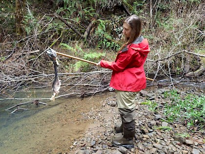 James Creek Fish Barrier Modification