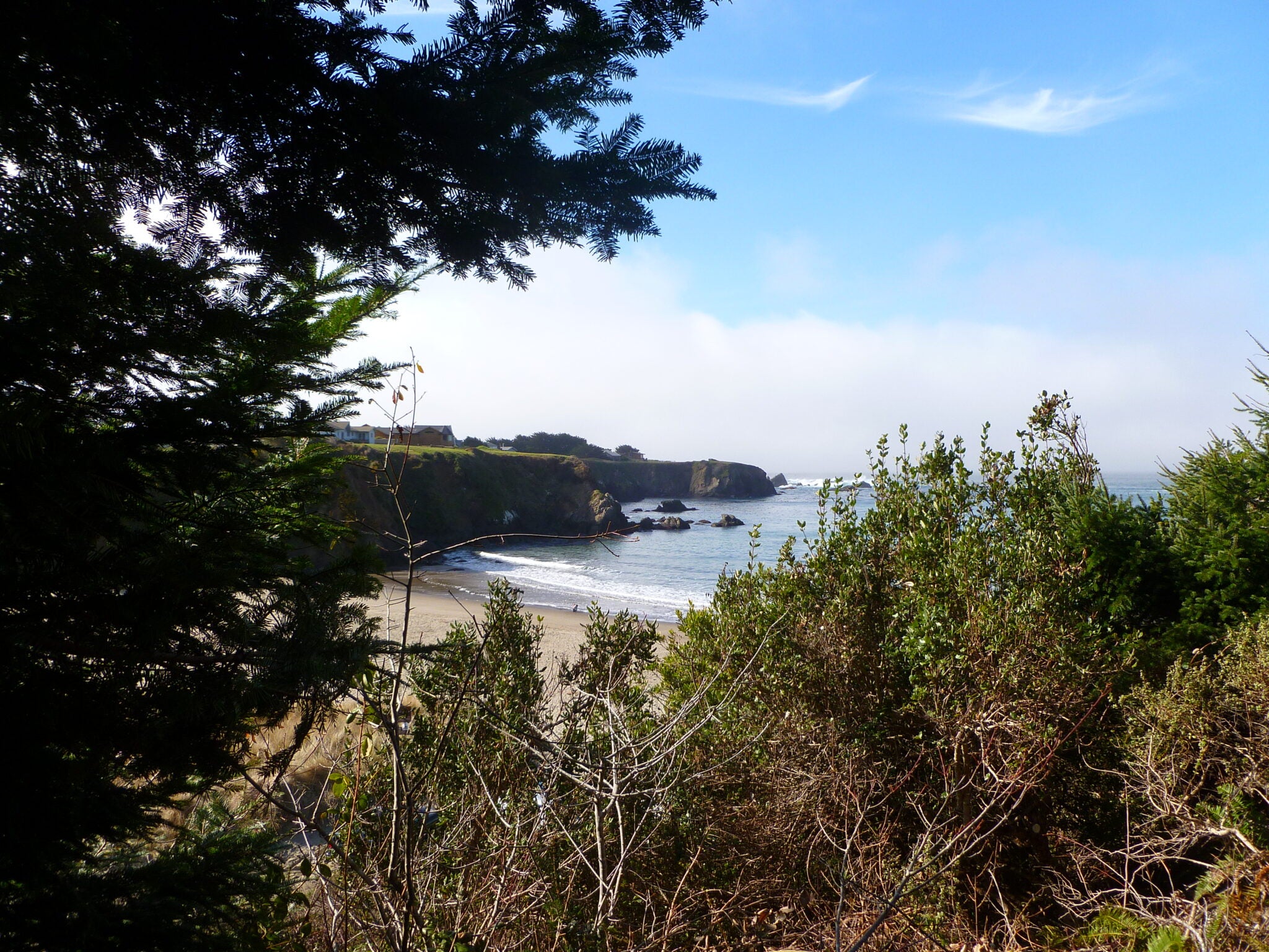 Caspar Uplands Trail Mendocino Land Trust