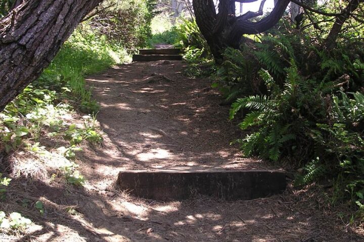 Bonham Trail to Cooks Beach