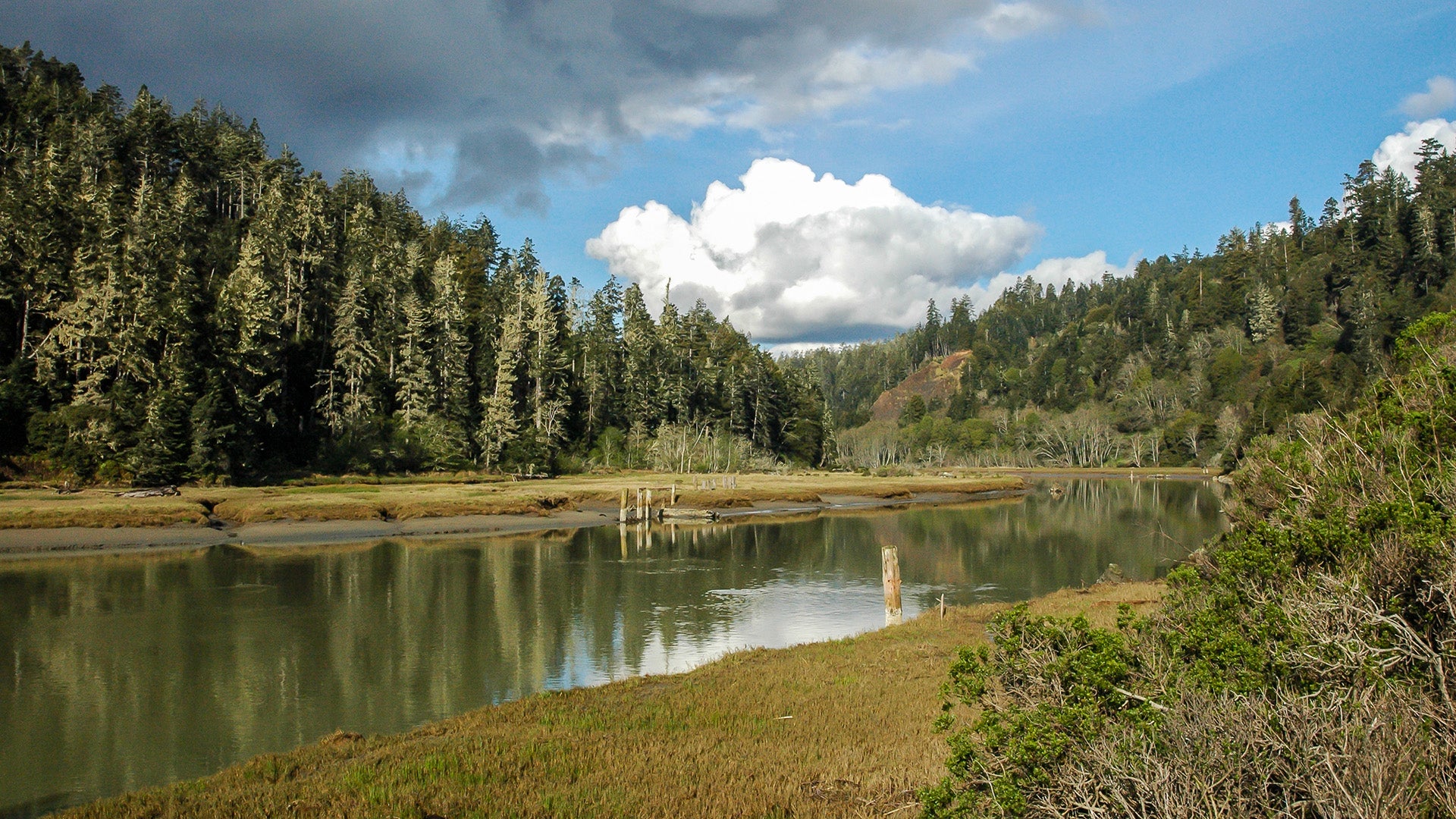 Forest Restoration & Climate Change Mendocino Land Trust