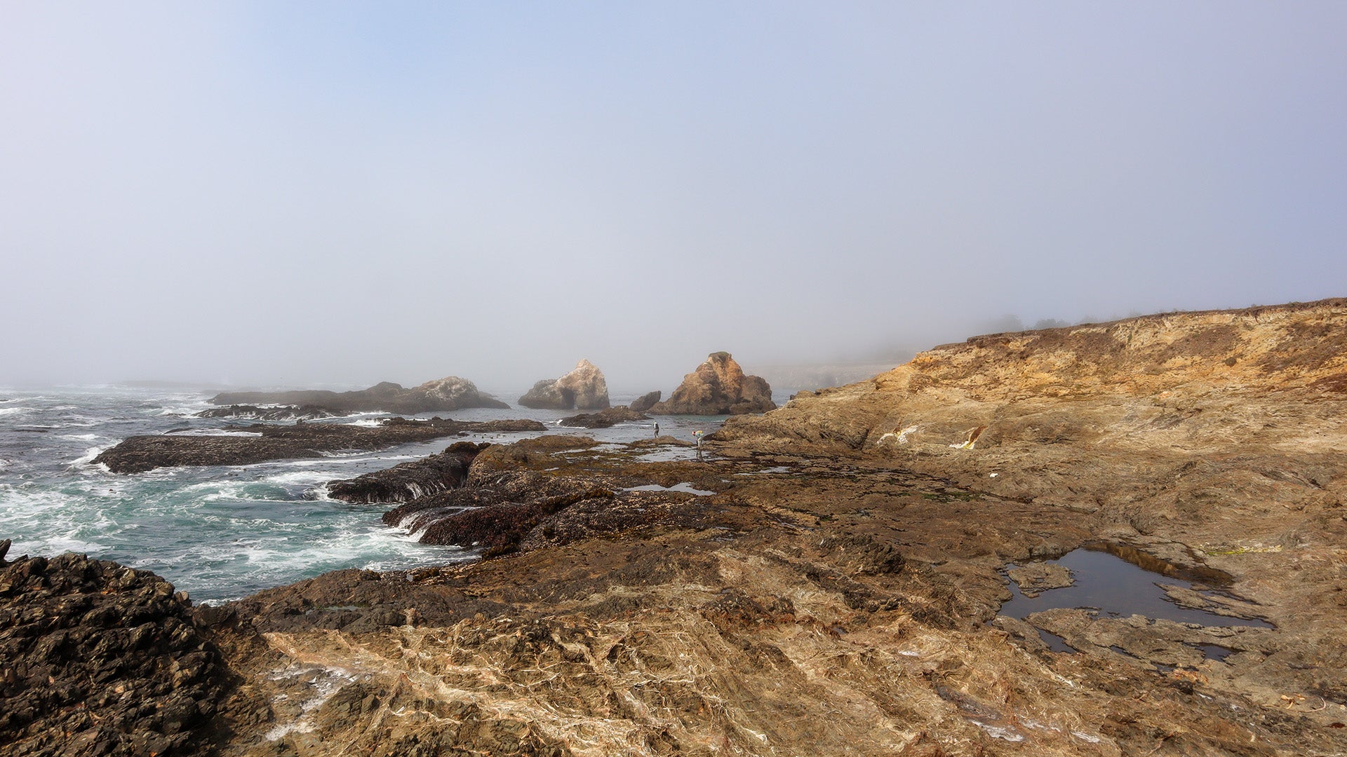 News & Events Mendocino Land Trust