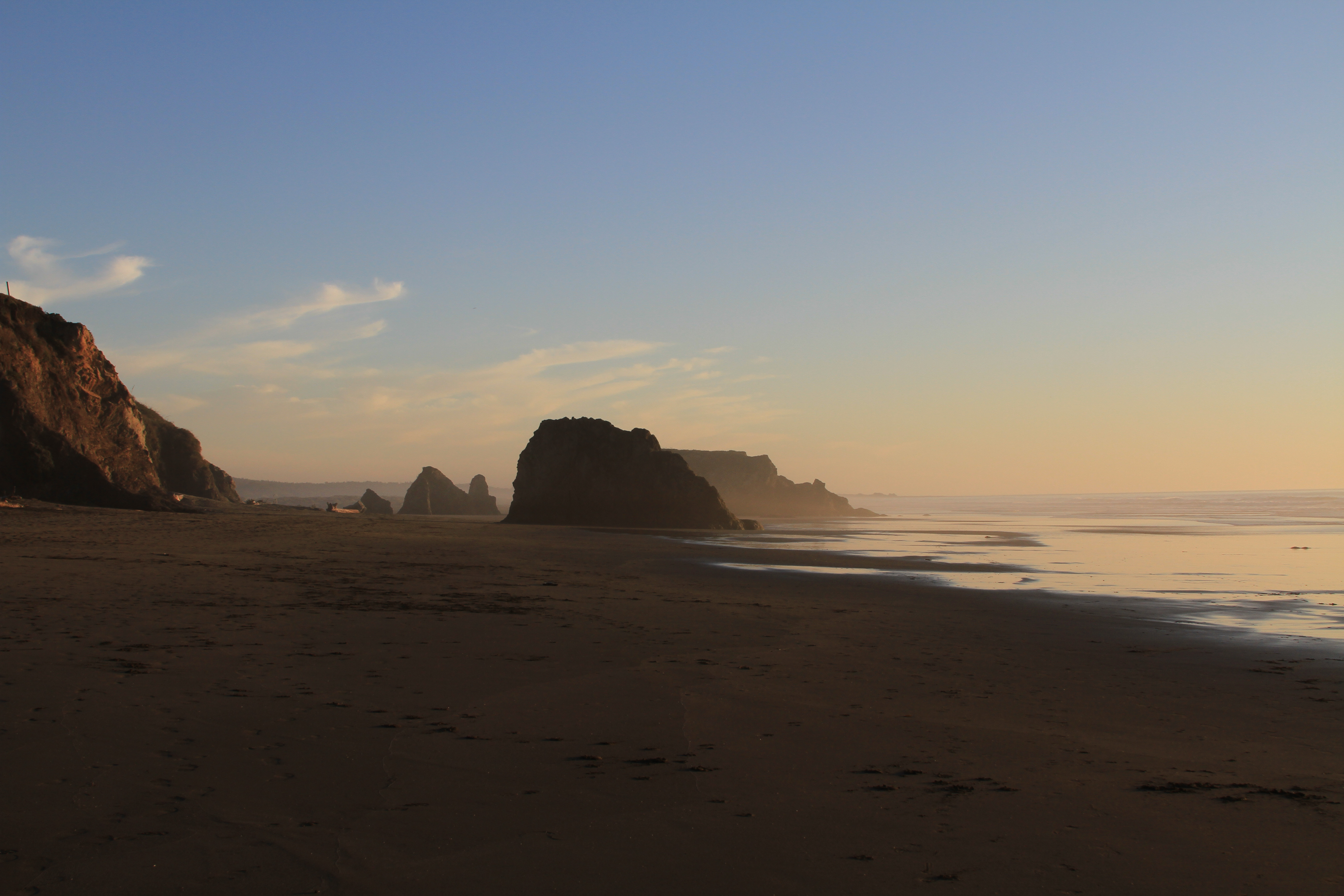 Beach shrouded in fog