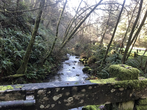 Van Damme State Park