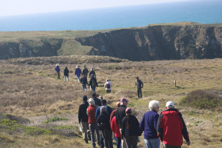 hikers at navarro point