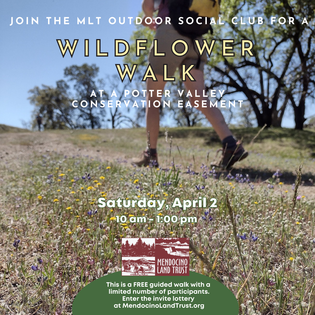 Wildflower event details