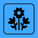 Wild Flowers