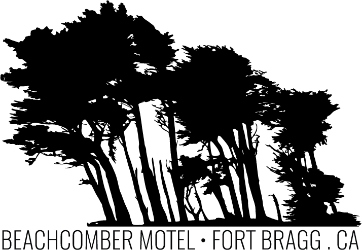 Beachcomber Logo