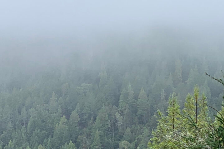 Conservation Easement: Big River