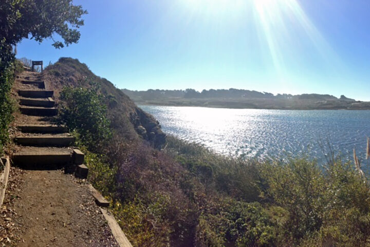 Gualala Bluff Trail