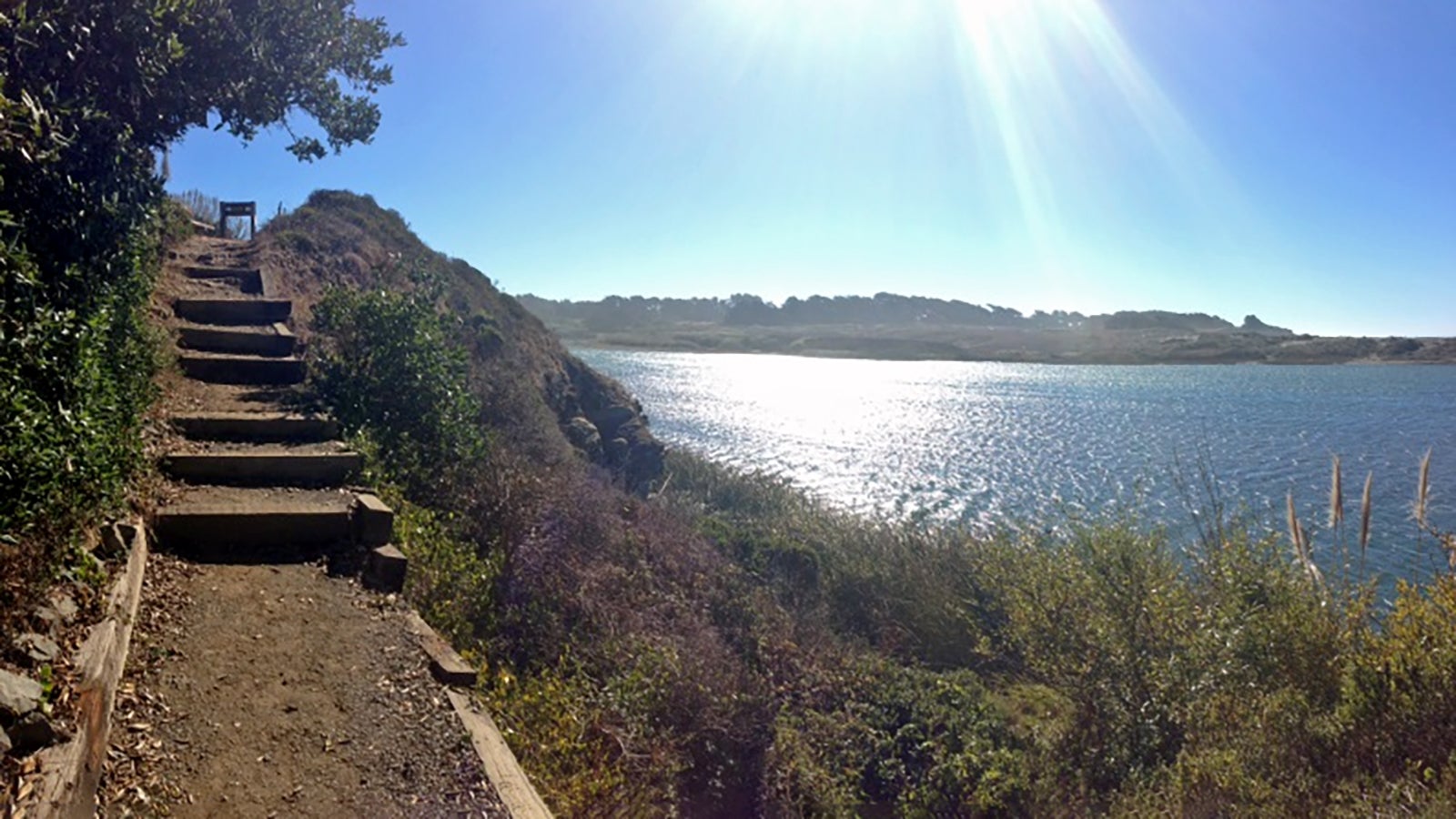 Gualala Bluff Trail - Mendocino Land Trust