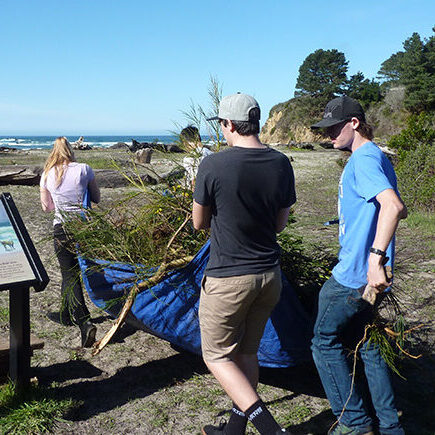 Volunteers working at Hare Creek