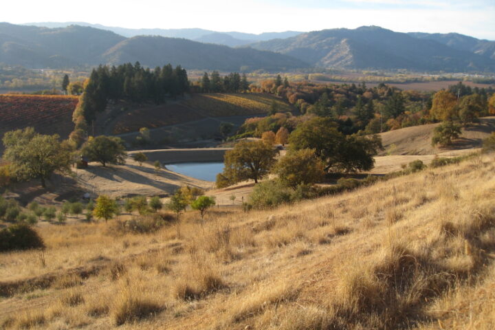 Golden field with pond and hills in background