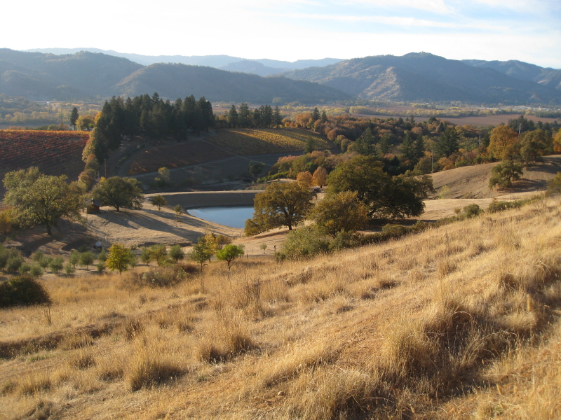 Golden field with pond and hills in background