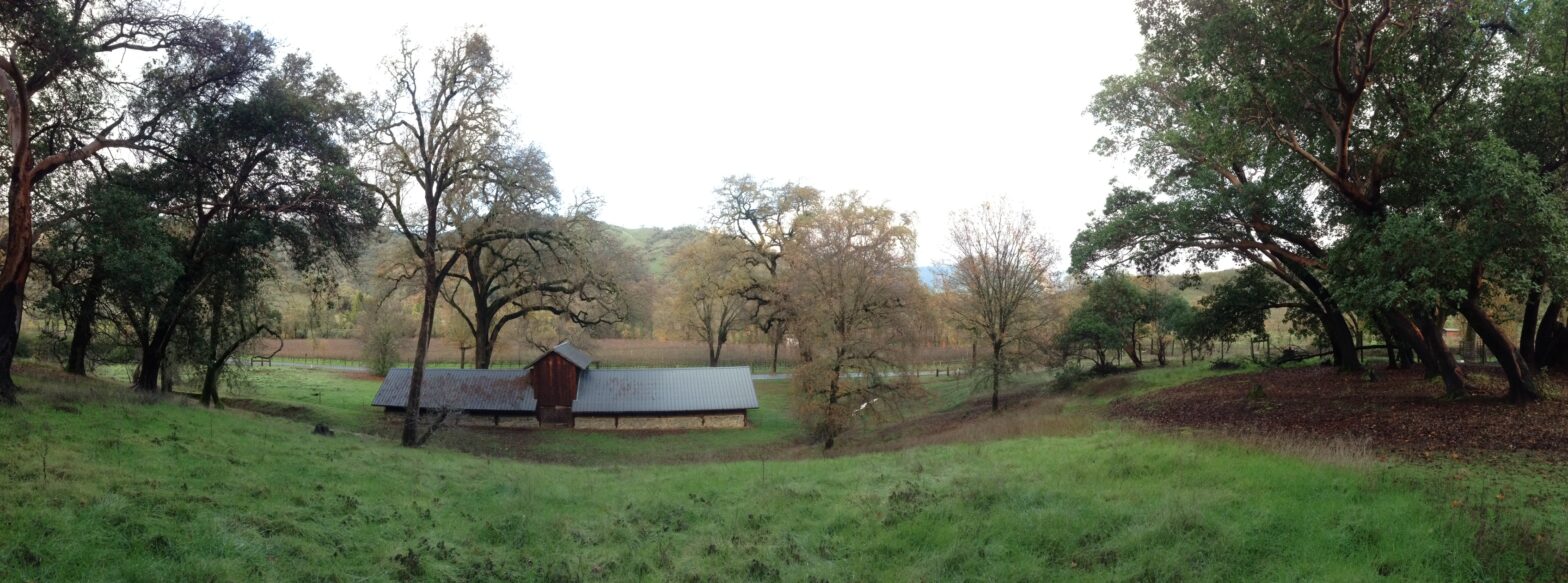 An old sheep barn between massive oak trees