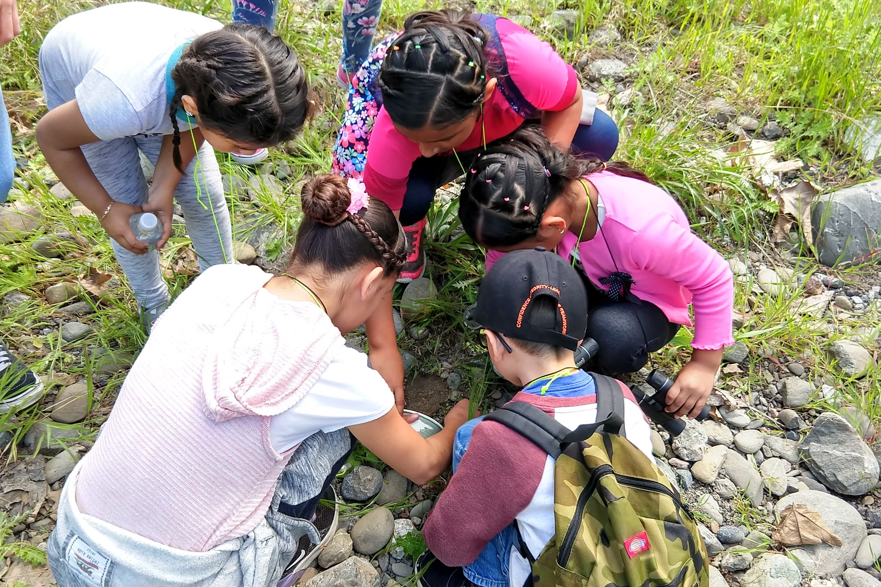 Children exploring nature