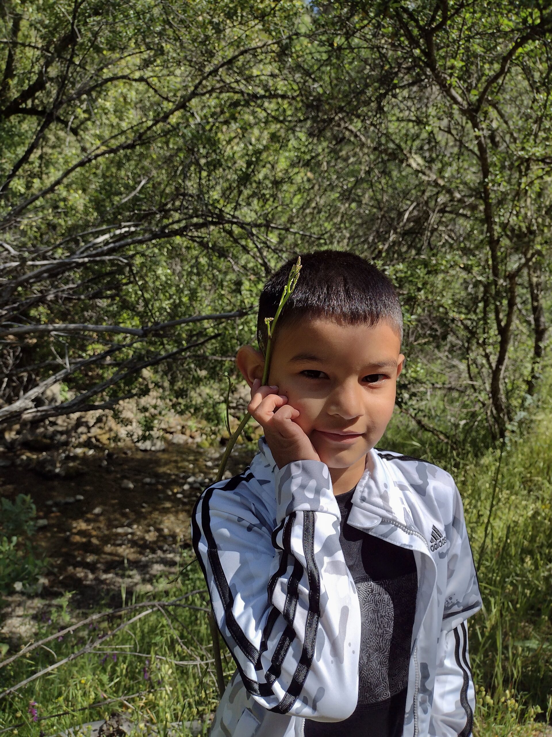 5 year old latino kid showing that a soaproot flower shoot is taller than him