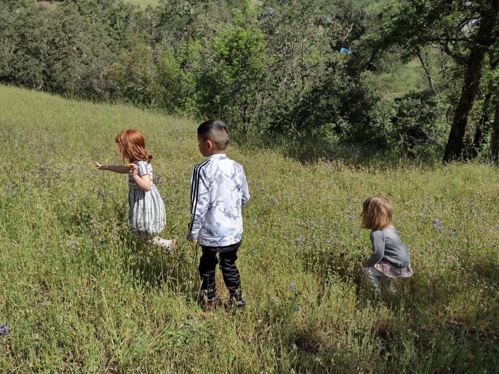 Three children playing in a grassy field. Blue lupine flowers are plentiful