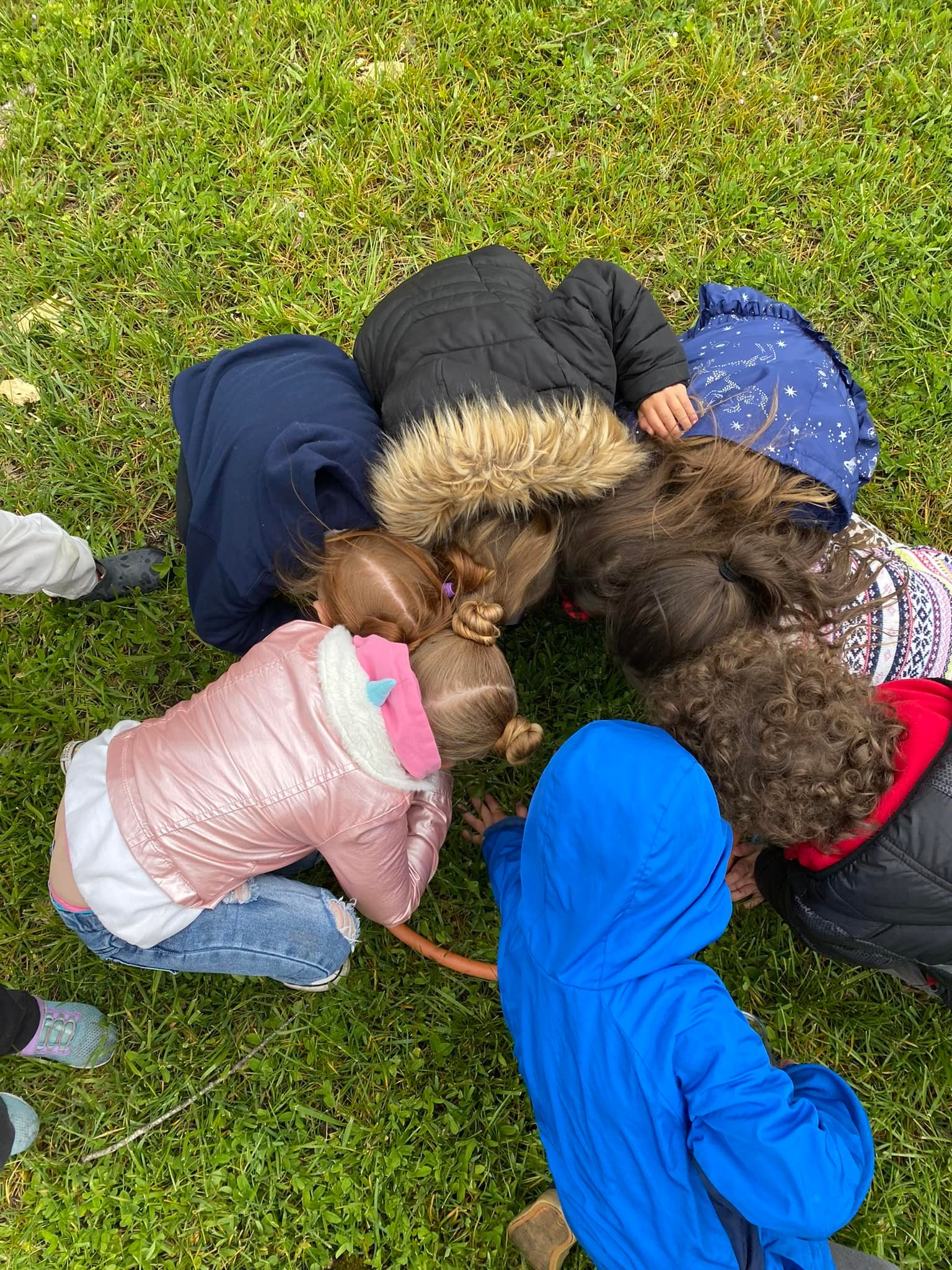 Preschool children kneeling around a hula hoop studying the grass within