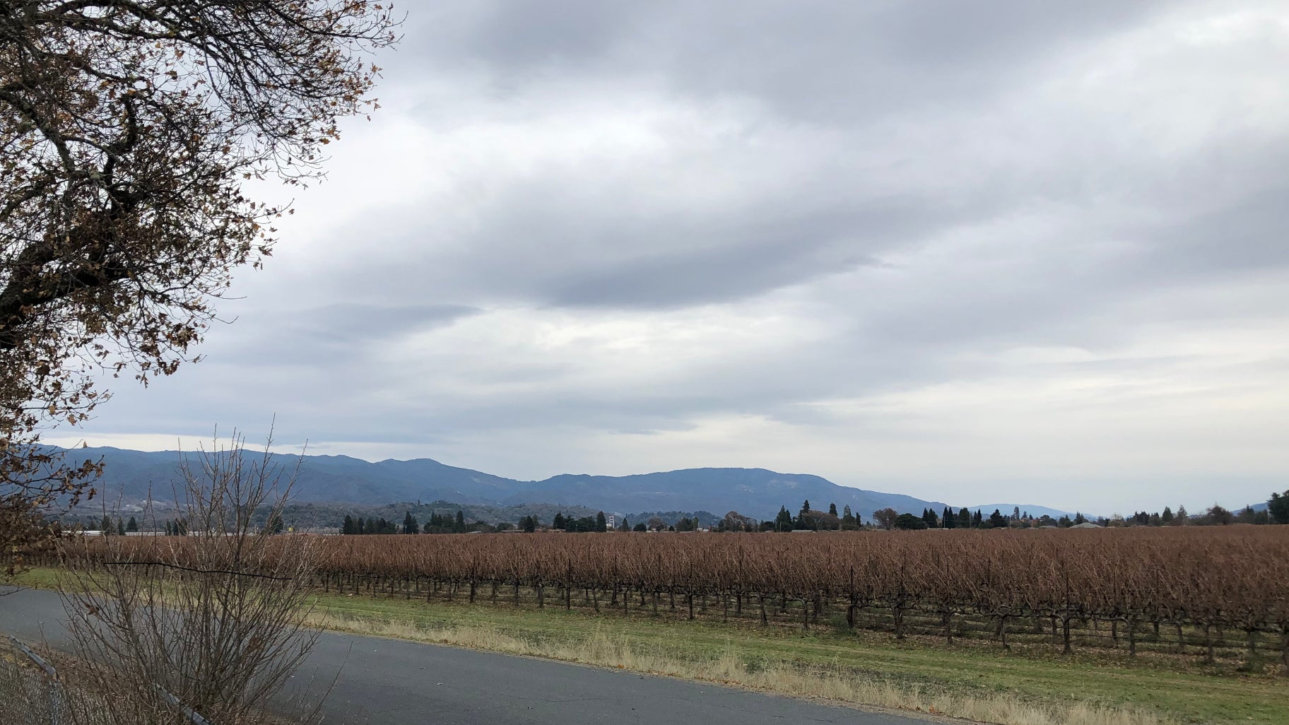 Agricultural Land Conserved at Lovers Lane in Ukiah Valley Mendocino