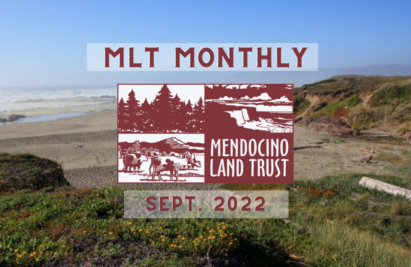 Sept MLT Monthly thumbnail