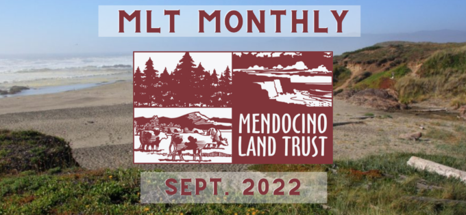 Sept MLT Monthly thumbnail
