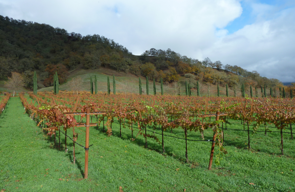 The Mendocino Land Trust Receives a 250,000 Grant from the Sustainable