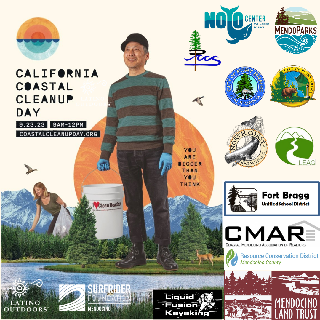 "You are Bigger than you think" graphic with logos of orgs hosting sites in mendo county