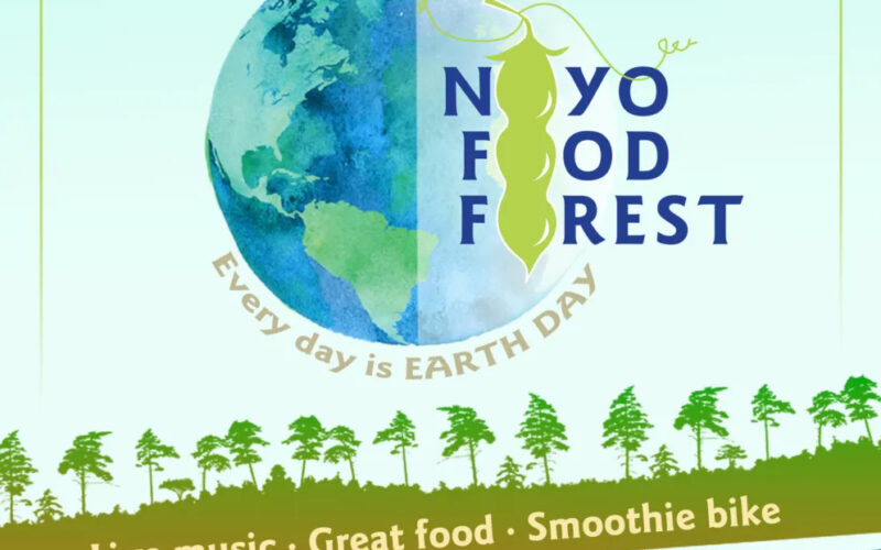 Poster for Noyo Earth Day.