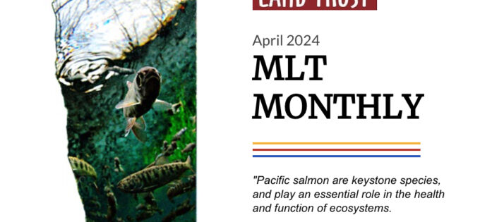 Cover art for Mendocino Land Trust's April Newsletter.