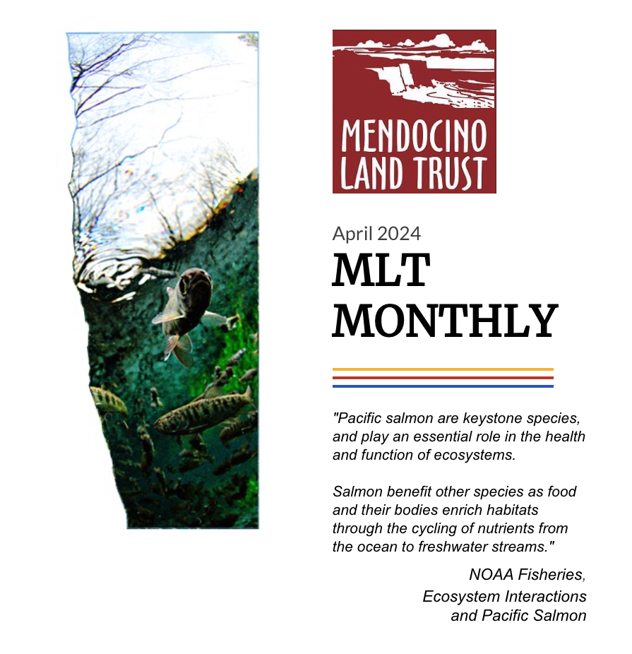 Cover art for Mendocino Land Trust's April Newsletter.
